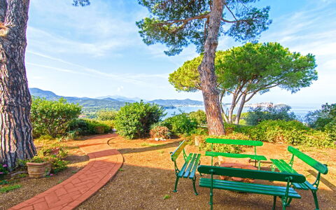 Villa Magazzini: Bleu, Arbuste, Paysage, Jardin, Printemps, Aménagement Paysager, Jardin Botanique, Ombre, Parc, Passerelle