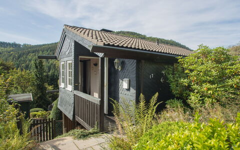 Waldblick: Colline, Maison, Chalet, Domicile, Zone Rurale, Toit, Pente, Station De Montagne, Chaîne De Montagnes, Porche