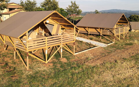 Logement:&nbsp;Glampingtent Minerva 500.22