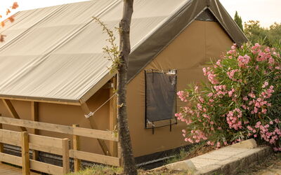 Logement:&nbsp;Glampingtent Zeus 500.20