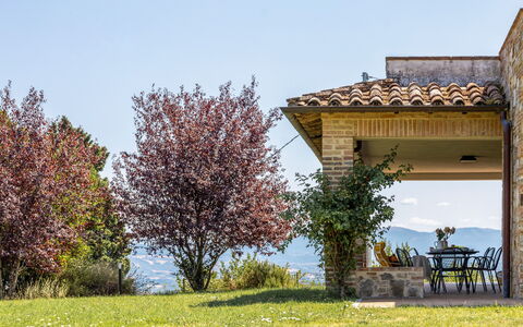 Poggio Padule: Paysage Naturel, Arbuste, Colline, Lot Terre, Prairie, Jardin, Vallée, Aménagement Paysager, Crête