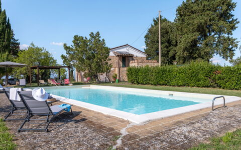 Poggio Padule: Piscine, Mobilier De Jardin, Biens, Arrière-Cour, Jardin, Hacienda, Ombre, Ferme, Villa, Cour