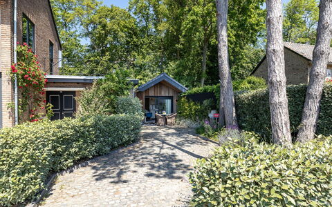 Residence Domburgse Duinen: Arbuste, Maison, Chalet, Domicile, Jardin, Couverture De Sol, Printemps, Aménagement Paysager, Biens