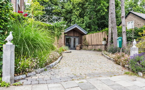 Residence Domburgse Duinen: Arbuste, Dalle, Jardin, Passerelle, Domicile, Allée, Chalet, Couverture De Sol, Pavé