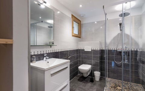 Peisey-Nancroix 101: Luminaire Plomberie, Salle De Bains, Sol, Design Intérieur, Évier, Sol, Robinet, Lavabo, Plomberie, Plafond