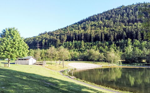 Ruhrtalblick: Arbre, Montagnes Relief, Paysage Naturel, Montagne, Colline, Montagnes, Banque, Lot Terre, Zone Rurale, Station De Montagne