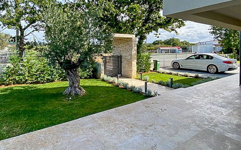 Frani: Arbuste, Zone Résidentielle, Porche, Jardin, Balcon, Ombre, Mobilier De Jardin, Cour, Chaise, Aménagement Paysager