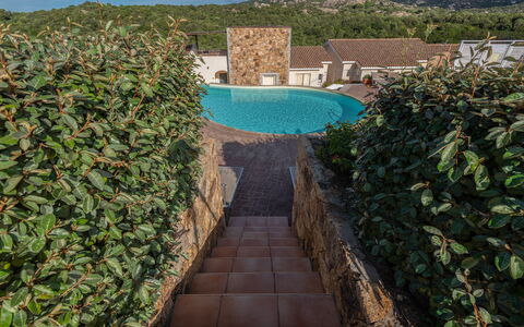 Baia Bianca Apartments Sardinia: Arbuste, Jardin, Mur De Pierre, Haie, Aménagement Paysager, Arrière-Cour