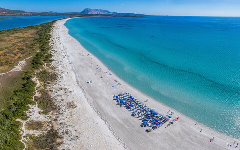 San Teodoro Apartments: Bleu, Plage, Côte, Mer, Cotiers Et Relief Océaniques, Rive, Océan, Attraction Touristique, Baie, Caraïbes