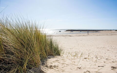La Bernerie-En Retz 250: Environnement Naturel, Plage, Côte, Le Sable, Cotiers Et Relief Océaniques, Rive, Mer, Écorégion, Océan