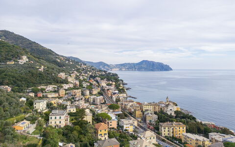 Casa Annalù With Garden, Wifi, Bogliasco: Montagnes Relief, Côte, Zone Résidentielle, Ville, Cotiers Et Relief Océaniques, Montagne, Colline, Mer, Établissements Humains, Terrain