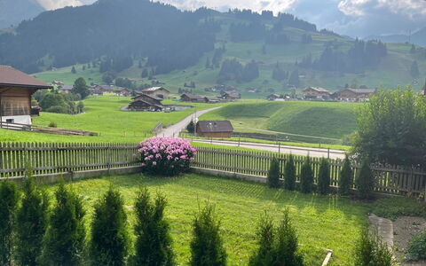 Flott: Maison, Toit, Colline, Domicile, Chalet, Lot Terre, Zone Rurale, Station De Montagne, Pelouse, Jardin