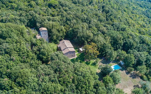 Villa Linchiano: Arbre, Environnement Naturel, La Nature, Végétation, Forêt, Communauté Des Plantes, Zone Rurale, Jungle, Biens