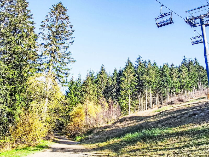 Hahnenklee 604