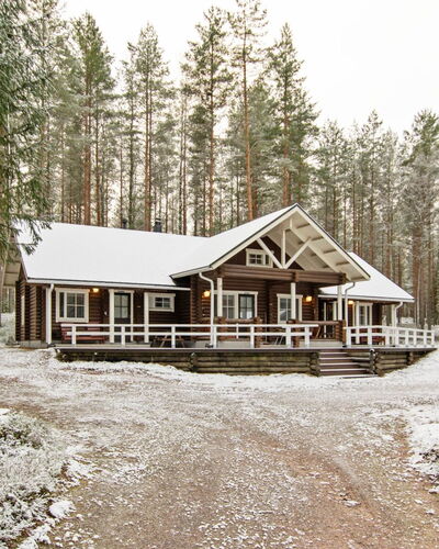 Kilpolan Orvokki