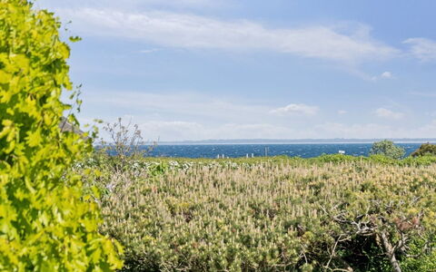 Sukie - 100M from the Sea: Végétation, Arbuste, Printemps, Chalet, Jardin, Ombre, Arrière-Cour, Cour, Chaise