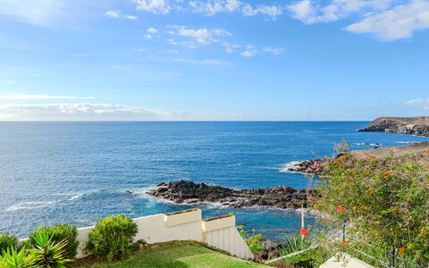 Ocean Loka: Chalet, Maison, Toit, Domicile, Biens, Ferme, À Déchaumer, Siding