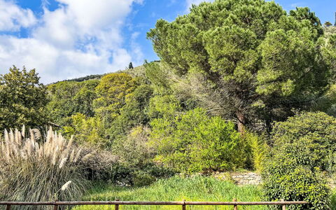 Logement:&nbsp;Giove 42.2