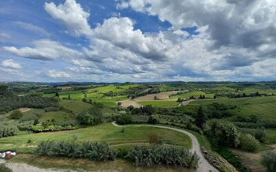 Ely Apartment In Villa, Wifi, Terricciola, Pisa