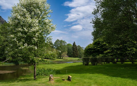 The Romantic Bothy: Branche, Arbre, Feuille, La Nature, Végétation, Arbuste, Lot Terre, Printemps, Jardin, Couverture De Sol