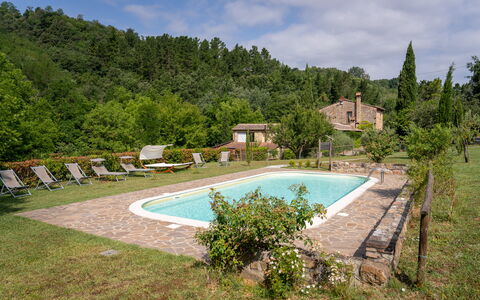 Montaione Country House Amarrante, Pool, Ac: Arbuste, Zone Rurale, Biens, Ferme, Jardin, Chalet, Hacienda, Eco Hôtel, Aménagement Paysager