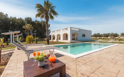 Villa Pallino: Architecture, Biens, Composite, Hacienda, Aménagement Paysager, Ombre, Manoir, Villa, Conception, Piscine