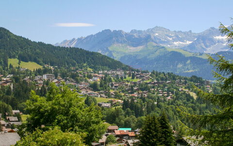 Christina 9: Montagnes Relief, Arbre, Montagne, Colline, Montagnes, Chaîne De Montagnes, Station De Montagne, Établissements Humains, Vallée, Alpes
