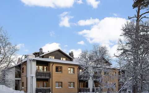 Lomariekko 6 a 2: Bois, Neige, L'Hiver, Chalet, Gelé, Domicile, Cabane En Rondins, Mélèze, Siding