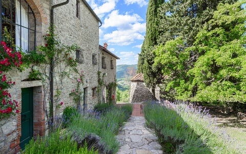 Villa Poggio La Croce: Arbuste, Jardin, Couverture De Sol, Brique, Aménagement Paysager, Mur De Pierre, Jardin Botanique, Plantation
