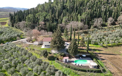 Il Cipresso