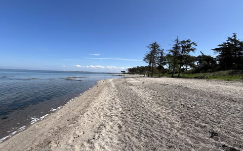 Hjalmine - 225M from the Sea: Des Loisirs, La Publicité, Parc, Bannière, Signe, Chemin