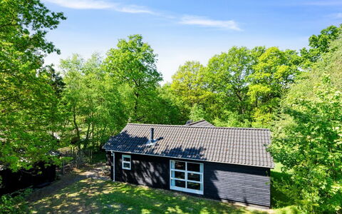 Tomine - from the Sea: Chalet, Batiments Jardin, Cabanon, Jardin, Des Bois, Ombre, Cabane En Rondins, Cour, Ferme, Siding