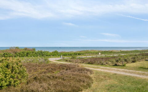 Suometar - 90M from the Sea: Herbe, Prairie, Lot Terre, Chalet, Zone Rurale, Prairie, Batiments Jardin, Jardin, Cabanon