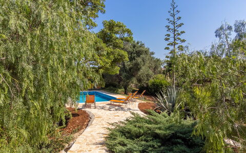 Villa San Vito: Arbuste, Jardin, Suppression Des Plantes Ligneuses, Ombre, Aménagement Paysager, Arrière-Cour, Jardin Botanique, À Feuilles Persistantes