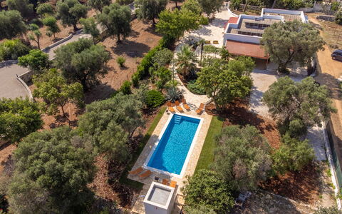 Villa San Vito: Arbre, Paysage, Biens, Aménagement Paysager, Hacienda, Piscine, Plantation, Photographie Aérienne, Villa
