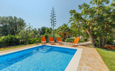Villa San Vito: Bleu, Piscine, Recours, Jardin, Eco Hôtel, Loisir, Aménagement Paysager, Ombre, Mobilier De Jardin, Caractéristique De L'Eau