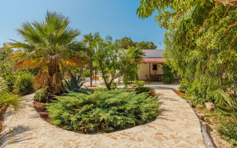Villa San Vito: Arbuste, Jardin, Aménagement Paysager, Suppression Des Plantes Ligneuses, Ombre, Hacienda, Allée, Biens, Dalle