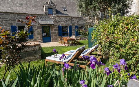 Maison Duquesne: Arbuste, Maison, Jardin, Chalet, Domicile, Couverture De Sol, Porte, Pot De Fleur, Biens