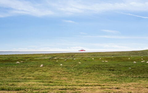 Reinhold - 1.9Km from the Sea: 