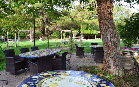 Appartamento La Torretta Di Pietra, Wifi, Perugia: Meubles, Table, Mobilier De Jardin, Chaise, Jardin, Tableau De Plein Air, Ombre, Pelouse, Printemps, Arrière-Cour