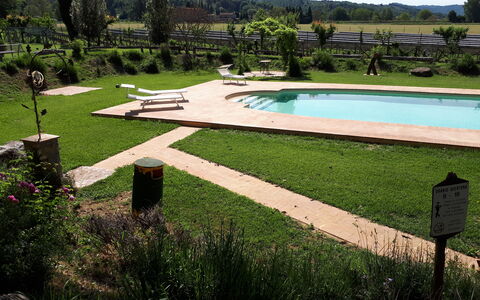 Appartamento Rustico, Wifi, Perugia: Jardin, Piscine, Mobilier De Jardin, Pelouse, Ombre, Arrière-Cour, Aménagement Paysager, Loisir, Parc, Caractéristique De L'Eau