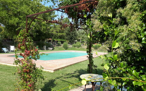 Appartamento Rustico, Wifi, Perugia: Arbuste, Jardin, Ombre, Printemps, Arrière-Cour, Cour, Pelouse, Aménagement Paysager, Pot De Fleur