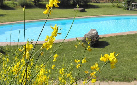 Appartamento La Vecchia Cedraia, Wifi, Perugia: Jaune, Printemps, Jardin, Pelouse, Aménagement Paysager, Cour, Parc, Wildflower, Jardin Botanique