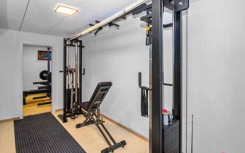 Tuiskukuru a: Equipement D'Exercice, Gym, Machine D'Exercice Physique, Sol, Sol, Machine Haltérophilie, Pièce, Dur, Parquet, Banc