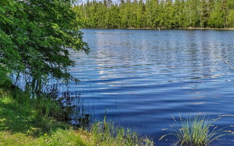 Mäntyrinne: Bois, Chalet, Tache De Bois, Dur, Cabane En Rondins, Planche, Plafond, Matériau Naturel, Lumber, Batiments Jardin