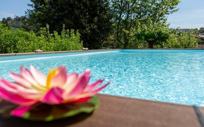 Casale La Pieve: L'Eau, Piscine, Jardin, Aménagement Paysager, Recours, Caractéristique De L'Eau, Eco Hôtel, Jardin Botanique, Arrière-Cour