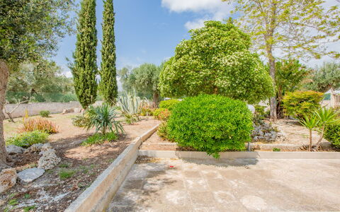 Villa Vera: Arbuste, Jardin, Communauté Des Plantes, Couverture De Sol, Suppression Des Plantes Ligneuses, Aménagement Paysager, Jardin Botanique, Passerelle, Ombre
