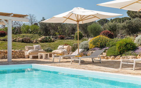 Masseria Le Monache: Mobilier De Jardin, Parapluie, Ombre, Chaise, Jardin, Recours, Pot De Fleur, Eco Hôtel, Aménagement Paysager, Conception