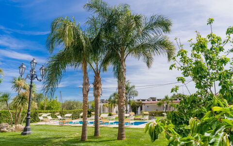 Ville Poggioreale: Suppression Des Plantes Ligneuses, Recours, Ombre, Aménagement Paysager, Piscine, Tropiques