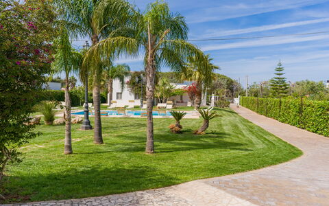 Ville Poggioreale: Arbre, Jardin, Arbuste, Pelouse, Suppression Des Plantes Ligneuses, Aménagement Paysager, Ombre, Hacienda